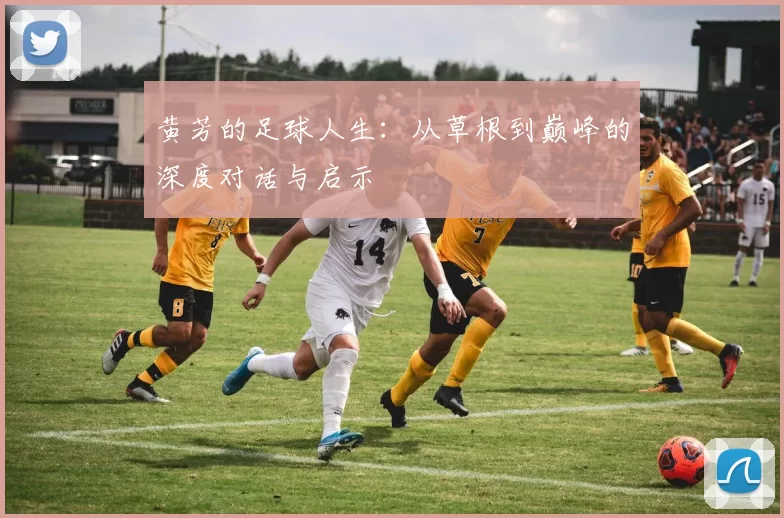 黄芳的足球人生：从草根到巅峰的深度对话与启示
