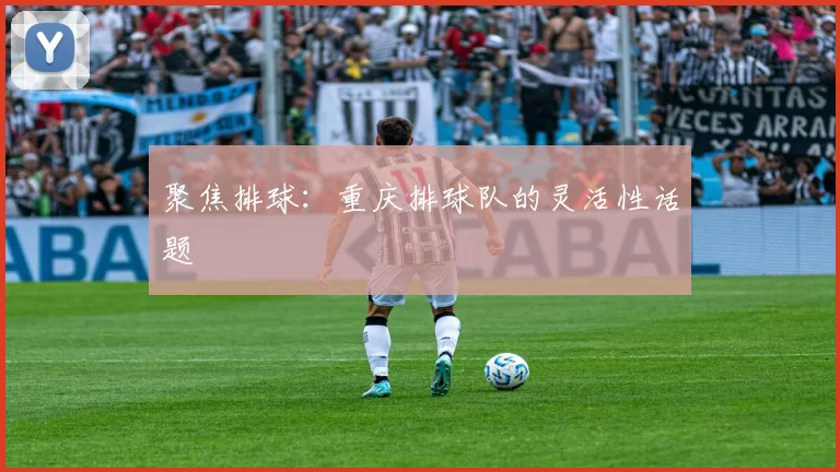 聚焦排球：重庆排球队的灵活性话题