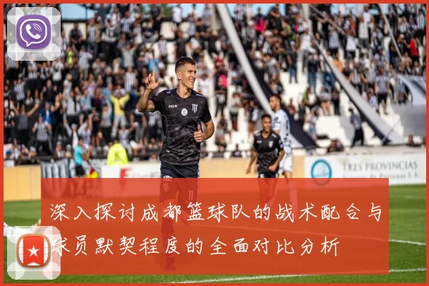 深入探讨成都篮球队的战术配合与球员默契程度的全面对比分析