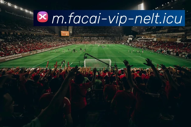 华体会体育服务体系